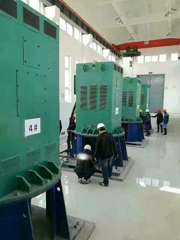 庆城某污水处理厂使用我厂的立式高压电机安装现场